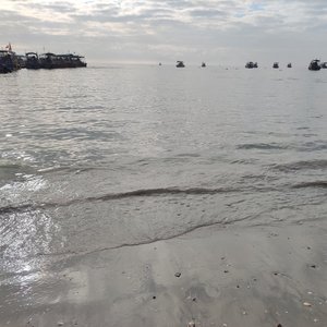 百炼成仙