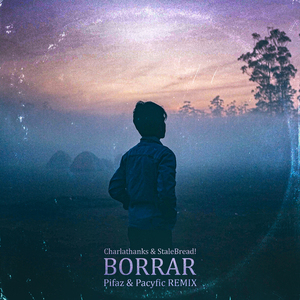 Borrar (Remix)