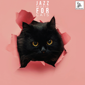 Cat Fall Asleep Piano