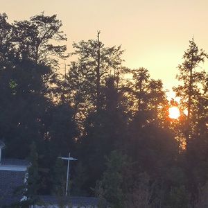 这一生关于你的风景