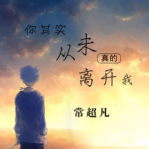 你其实从未真的离开我 (DJ版)