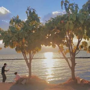 Without You (prod by THAIBEATS)