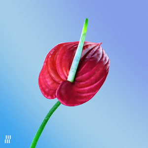 Vesper Bands of Yellow (Oceanic Patchwork #1)