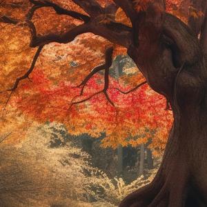 Ogni relazione ha il suo ritmo