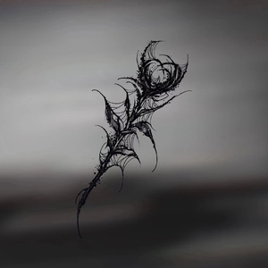 杨柳轻风的春天敏感地触摸