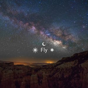 Fly