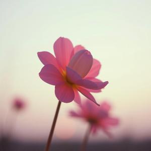 역주행 (nostalgic v)