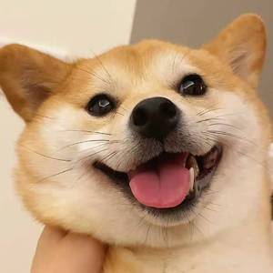 爱