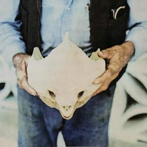 *免费下载* 生命的尽头 EMO FLUTE BEATS