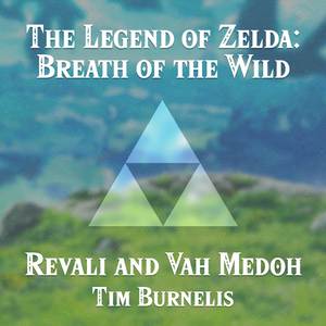 Revali and Vah Medoh (From "The Legend of Zelda: Breath of the Wild") (Piano Cover)