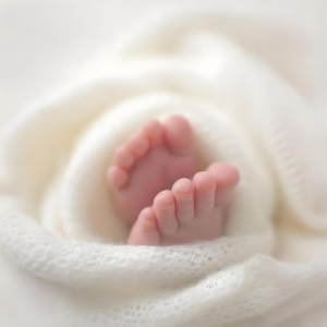 婴儿哄睡神曲：美妙的梦境