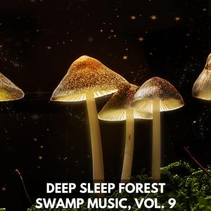 The Level Of The Ocean