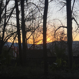 丢掉我，抓紧我，吞了我