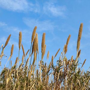 总有一天你会出现在我身边