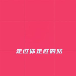 走过你走过的路