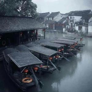 任风吹