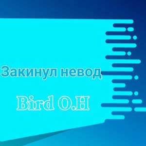 Закинул невод