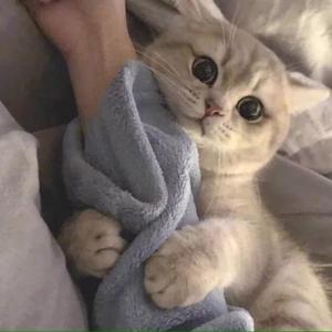 若许一个愿望少活十年，我许十个