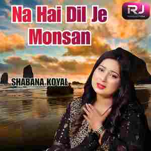 Na Hai Dil Je Monsan