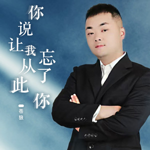 你说让我从此忘了你