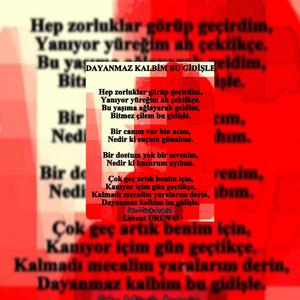 Bu Gidişle