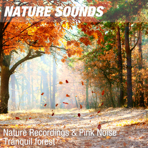 Nature Sounds for Wellness, Spa & Ayurveda (Quiet forest, pink noise) 19