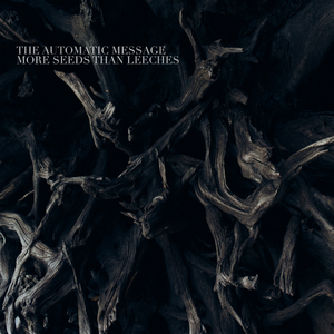 Twin Sisters (Original Mix)