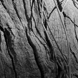 Your hands are lovely and warm