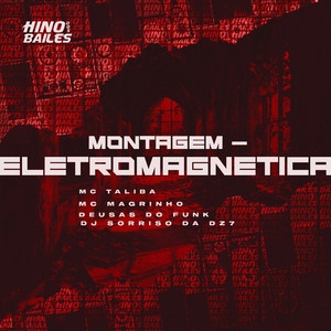 Montagem - Eletromagnetica