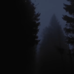 demo5