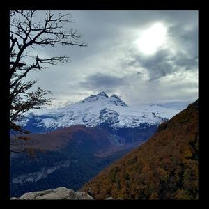 MADRE PERDONANOS - NEWENES