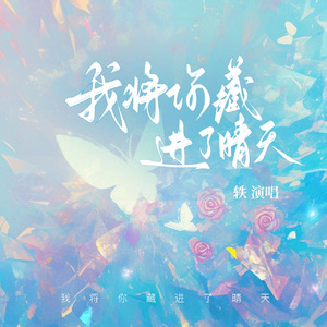 我将你藏进了晴天