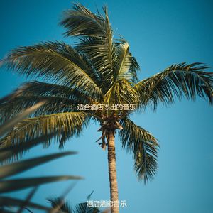 适合旅馆奢侈的音乐