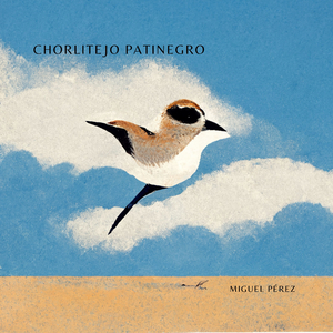 Chorlitejo Patinegro