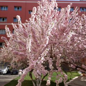 带上一腔愚勇和热忱的快乐出发