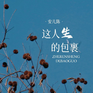 这人生的包裹