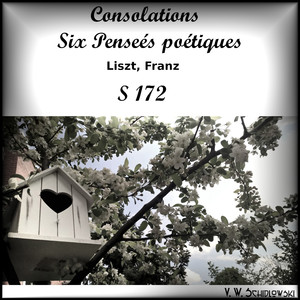 Consolations, S 172: No. 3 Db-majeur, Lento placido