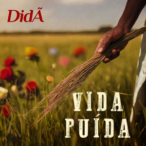 Vida Puída