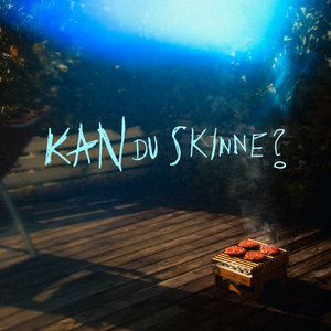 Eg såg en svane dø