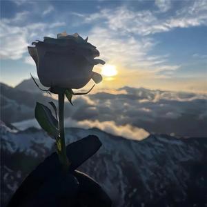 北风吹不到南边的雾