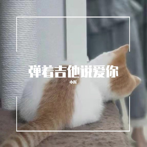 弹着吉他说爱你