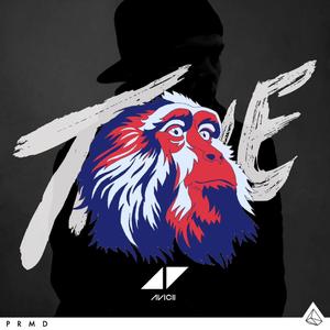 Various Artists-Hey Brother（D.M.U remix）