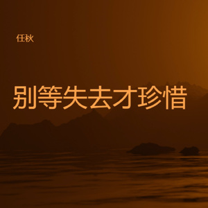 别刺痛我的伤口