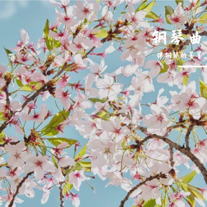 《霓裳羽衣曲》钢琴