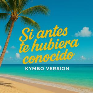 Si antes te hubiera conocido
