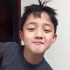 可惜不是你（翻唱）