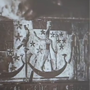 变成树(prod.wysa + coldlazer).mp3