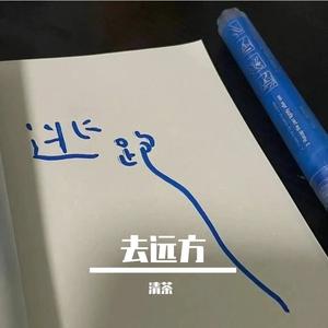 去远方(热播版)