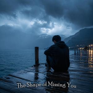 Missing Your Voice