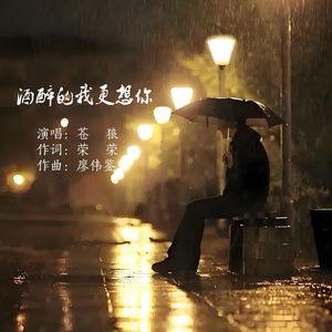 酒醉的我更想你